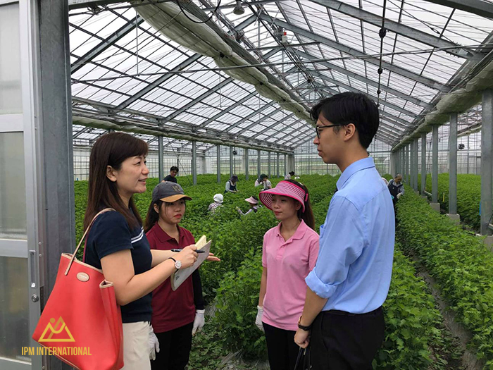 Gặp gỡ du học sinh của IPM của Nhật - NGUYỄN BÁ HƯNG làm việc tại Nhật Bản